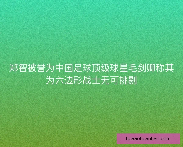 郑智被誉为中国足球顶级球星毛剑卿称其为六边形战士无可挑剔